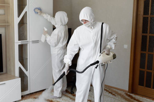 Trusted Sewage Cleanup service in Kenilworth, IL - Four Month Blood Cleanse